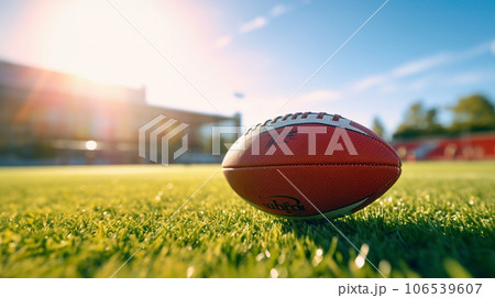 芝生に置かれたラグビーボール 106539607