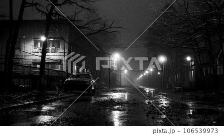 白黒のホラーテイストな住宅街 白黒のホラーテイストな住宅街 106539973
