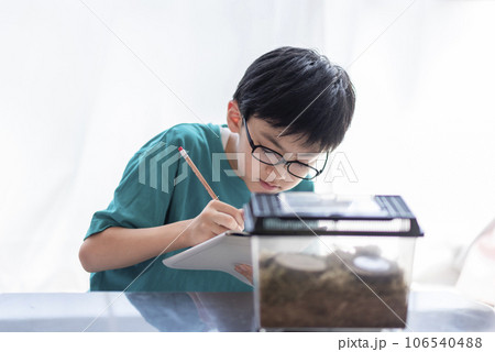 昆虫観察する小学生の男の子 昆虫観察する小学生の男の子 106540488