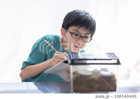 昆虫観察する小学生の男の子 昆虫観察する小学生の男の子 106540489