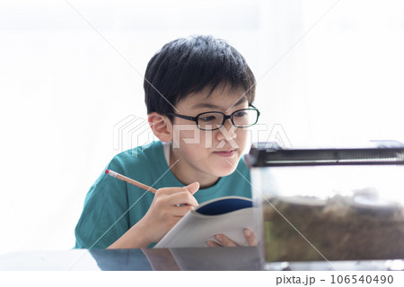 昆虫観察する小学生の男の子 106540490