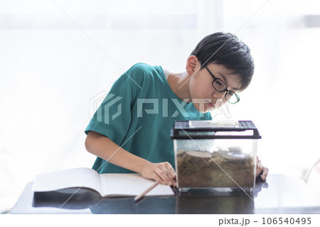 昆虫観察する小学生の男の子 106540495