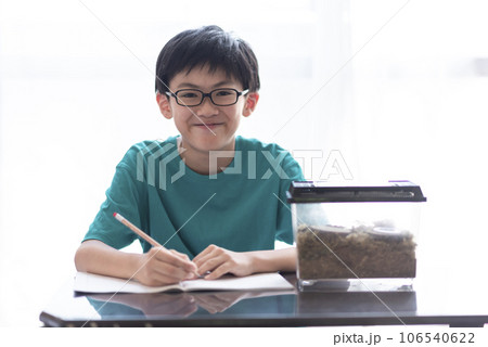 昆虫観察する小学生の男の子 106540622