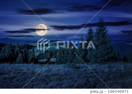 Autumn landscape in mountains of Romania at night. Conifer forest on hillsides. wonderful countryside scenery in full moon light 106540971
