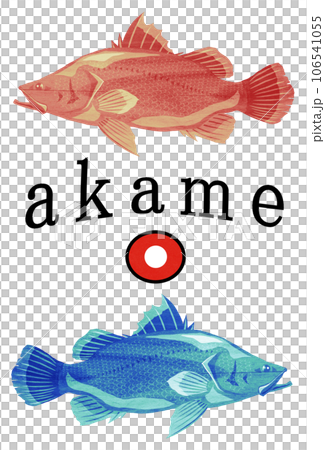 アカメ魚イラスト 106541055