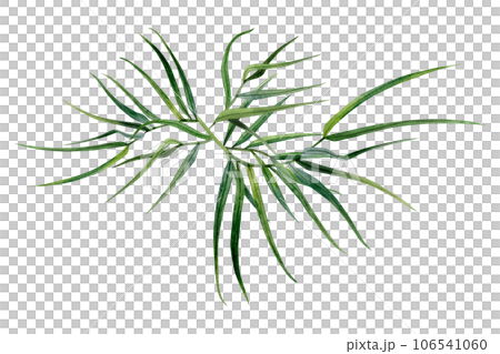 Abstract bamboo branches with leaves watercolor illustration. Tropical nature hand drawn clipart for Asian culture designs 106541060