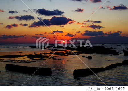 千葉　房総半島　野島崎の日の出 106541665