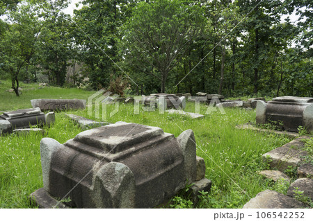 Madan Kamdev archaeological site in Baihata Chariali, Kamrup, Assam, Northeast India 106542252