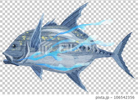 水中を泳ぐカッポレのイラスト 106542356