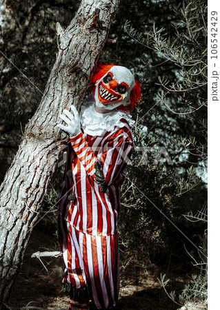 mad evil clown clinging to the trunk of a tree 106542429