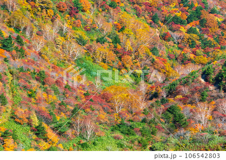 秋の安達太良山登山:くろがね小屋付近の紅葉 秋の安達太良山登山:くろがね小屋付近の紅葉 106542803