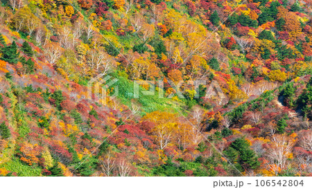 秋の安達太良山登山：くろがね小屋付近の紅葉 106542804
