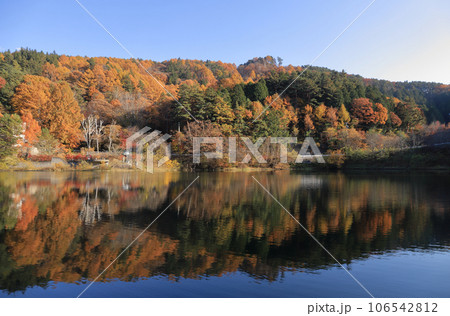 湖面に映る美鈴湖の紅葉 106542812