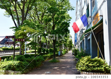 藤沢市　湘南ライフタウン中央の新緑に覆われた緑道と町並み 106543353