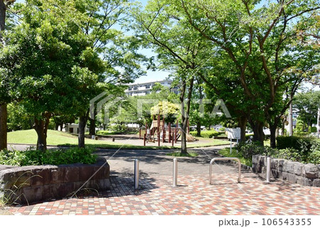 藤沢市　湘南ライフタウンの二番構公園と新緑 106543355