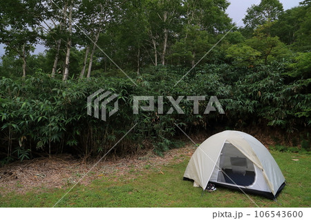 森の中でテントを張った 106543600