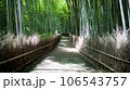 嵯峨嵐山の竹林 106543757