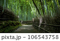 嵯峨嵐山の竹林 106543758