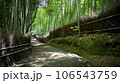 嵯峨嵐山の竹林 106543759
