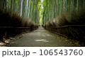 嵯峨嵐山の竹林 106543760