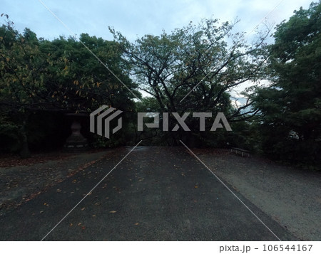 聚楽園公園　東海市 106544167