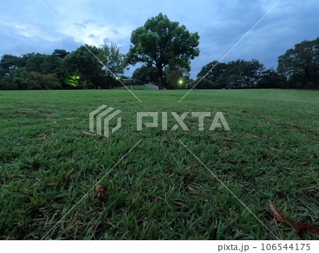 聚楽園公園　東海市 106544175