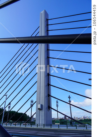 ミュンヘン大橋（2径間連続PC斜張橋の主塔） 106544459