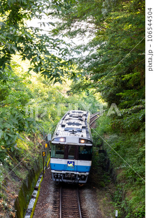 【徳島線】掘割区間を疾走する特急剣山 106544504