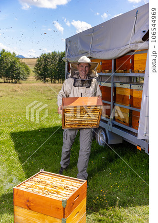 Collect honey concept. 106544969