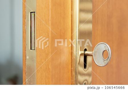 Wooden door with a gold lock and key Wooden door with a gold lock and key 106545666