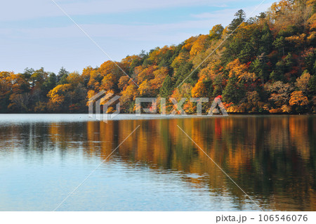 [定額] 初秋の奥日光の湯ノ湖の紅葉 106546076