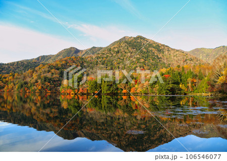 [定額] 奥日光の湯ノ湖の紅葉 106546077