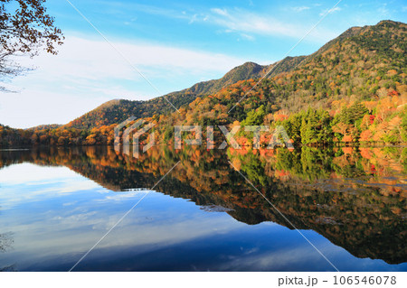 [定額] 初秋の奥日光の湯ノ湖の紅葉 106546078