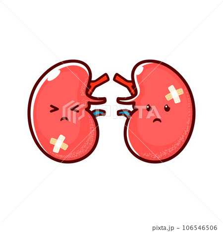 Cartoon sick kidneys organ character, unhealthy sad human body organ, isolated vector. Kidneys with sad face and medical patch of disease, infection and inflammation, renal and urinary system health Cartoon sick kidneys organ character, unhealthy sad human body organ, isolated vector. Kidneys with sad face and medical patch of disease, infection and inflammation, renal and urinary system health 106546506