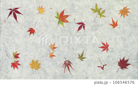 色づく紅葉と籾殻を漉き込んだ、秋を感じる自然素材の和紙 色づく紅葉と籾殻を漉き込んだ、秋を感じる自然素材の和紙 106546576