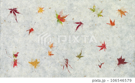 色づく紅葉と籾殻を漉き込んだ、秋を感じる自然素材の和紙 106546579
