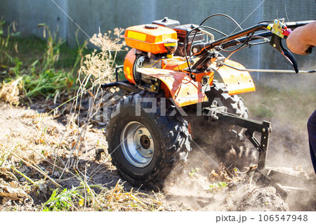 A summer resident plows a garden with potatoes with a walk-behind tractor in the fall during the harvest. Copy space for text 106547948