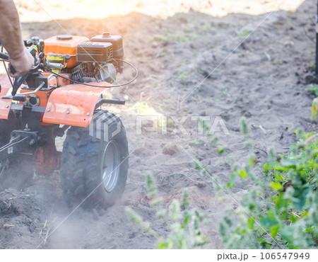 Plowing a garden with potatoes with a walk-behind tractor. Harvesting potatoes in autumn. Plowing the furrow with a motor-block with a plow. Industry Plowing a garden with potatoes with a walk-behind tractor. Harvesting potatoes in autumn. Plowing the furrow with a motor-block with a plow. Industry 106547949