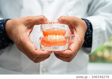 Denture, dentist holding dental teeth model to study and treat in hospital. 106548278