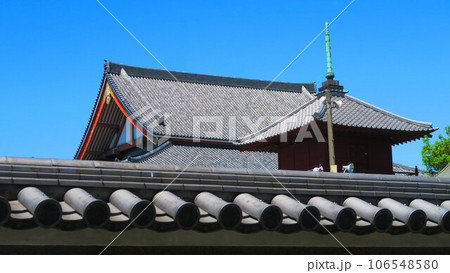 西新井大師のいろいろな風景 106548580