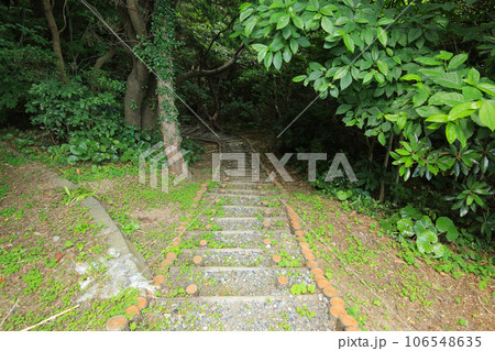 愛媛県伊方町　番匠鼻への遊歩道 106548635