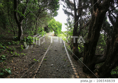 愛媛県伊方町 番匠鼻への遊歩道 愛媛県伊方町 番匠鼻への遊歩道 106548639