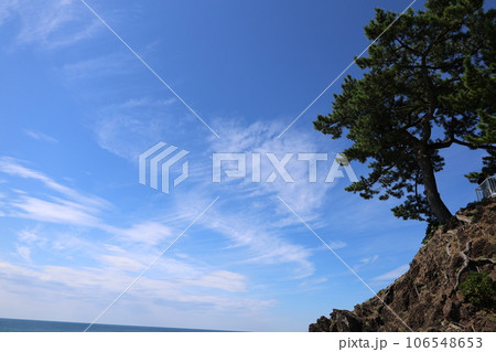 夏の空と岩場の松 106548653