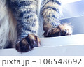 猫の手 106548692