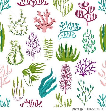 Underwater seaweed plants, aquarium algae seamless pattern. Corals and seaweeds vector background of marine flora with green kelp and laminaria, purple codium, gracilaria and rhodymenia leaves Underwater seaweed plants, aquarium algae seamless pattern. Corals and seaweeds vector background of marine flora with green kelp and laminaria, purple codium, gracilaria and rhodymenia leaves 106549804
