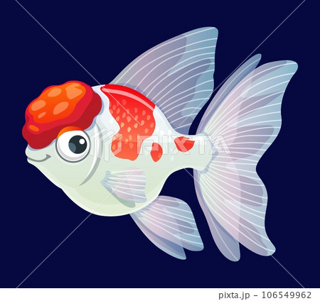 Cartoon aquarium fish, isolated vector white crown pearscale fish is a stunning freshwater species known for its shimmering scales and distinct crown-like pattern on its head. Book or game character 106549962
