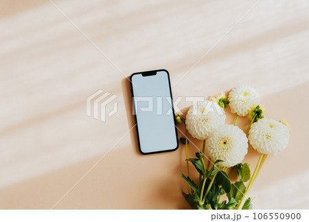 White dahlias flowers and mobile phone with blank screen on beige background 106550900