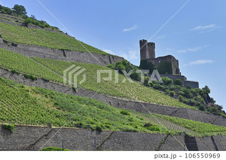 ライン川クルーズ　エーレンフェルス城址／ドイツ 106550969