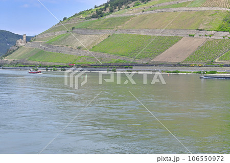 ライン川クルーズ エーレンフェルス城址/ドイツ ライン川クルーズ エーレンフェルス城址/ドイツ 106550972