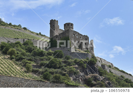 ライン川クルーズ　エーレンフェルス城址／ドイツ 106550978